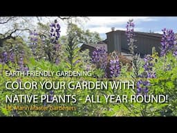 Color Your Garden With CA Native Plants - All Year Round!