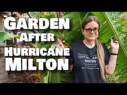 Milton Garden Update