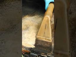 Sucking Up Brown Liquid... Satisfying Carpet Extraction #shorts