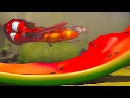 WATERMELON SLIDE! 🍉 | LARVA | WildBrain Kids