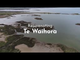 Rejuvenating the mauri and ecosystem health of Te Waihora