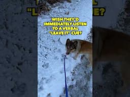 Easy Hack to STOP Dog Scavenging on Walks