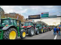 Colère des agriculteurs : «Il est urgent de redonner des signes de confiance à nos agriculteurs»,…