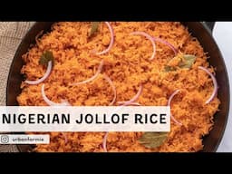 Nigerian Jollof - Vegan (What?!) One Pot Recipe from my Yoruba Sister-In-Law!