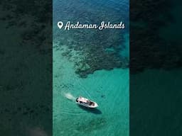 Can you believe this is India? | Andaman Islands #incredibleindia #beachesofindia