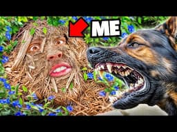 I Used Camouflage to Escape a Police K9 – Will It Work?