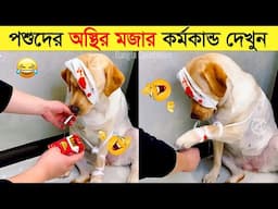 পশুদের মজার কর্মকান্ড ক্যামেরায় ধরা পড়া | Funny Animals Video 2023 (Part-16) | mayajaal