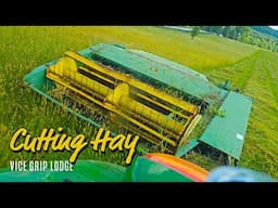 Cutting Hay With A CHEAP John Deere Hay Conditioner!