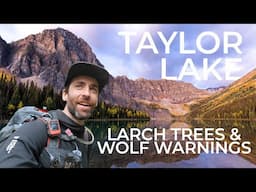 Taylor Lake and Panorama Ridge - Wolf Warnings and Larch Trees