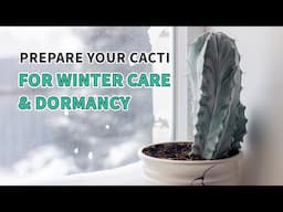 How to prepare your cactus for winter care & dormancy #cactus #cacti #plants #succulents