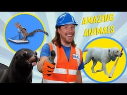 Handyman Hal meets Amazing Animals | Dogs, Birds, Squirrels and Sea Lions