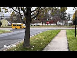 SCHOOL BUS DRIVERS ARE SOME OF MOST RECKLESS DRIVERS ON THE ROAD