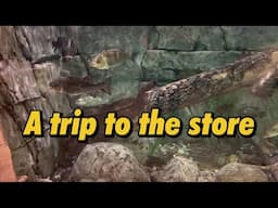 A trip to the store