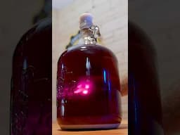 How to make Purple Tea Wine!