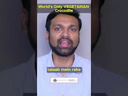 World's Only VEGETARIAN Crocodile