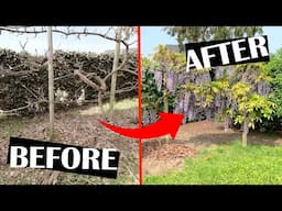 Epic GARDEN SPRING CLEANUP: the impressive Before and After!