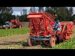 6 decades of beet harvesting history | From horses to 6 row harvester | Jülich, 2024