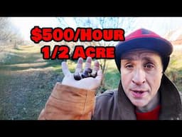 How I Make $500/Hour Growing Trees (Half Acre Tree Farm)