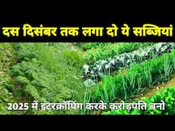 10 दिसंबर तक लगा दो ये 10 सब्जियां और 2025 में करोड़पति बन जाओ | vegetables farming in December