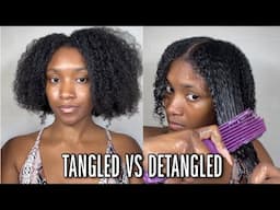 Natural Hair Care Review Ft. Camille Rose Rosemary Line & Detangle Brush