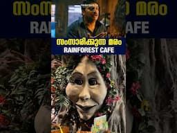 സംസാരിക്കുന്ന മരം 😱 Rainforest Cafe 🌳