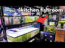 LOW TECH KITCHEN Fishroom Tour - Breeding Fish For Profit | @Outside-InAquatics INTERVIEW