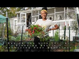 VLOG | Planting Garlic | Q & A | Chatting | A Day Around My Urban Homestead DITL | PT. 2 - PM