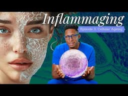 Inflammaging - Episode 3: Cellular Ageing