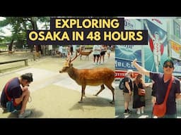 48 Hours in Osaka: Don't Miss These Top Sights!