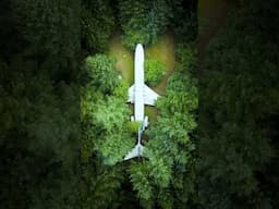 #shorts An Airplane In The Forest