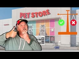 Reptile Pet Stores - GOOD or BAD  ?   🦎🦎🦎