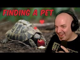 Viva La Dirt League REACTION Finding a pet in survival games | DG ENHANCES