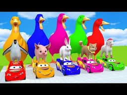 5 Giant Duck Cartoon,Cow,Elephant,Tiger,Lion,Dinosaur,Paint Wild Animals Crossing Fountain Animation