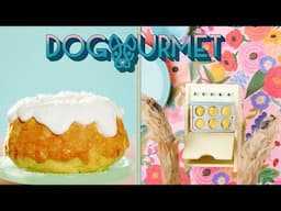 BIRTHDAY CAKE FOR COOL DOGS | NATURAL DOG FOOD | DOGourmet 02