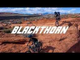 Salsa Blackthorn All-Mountain Bike