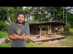 The biggest transformation on my off-grid rainforest cabin yet!