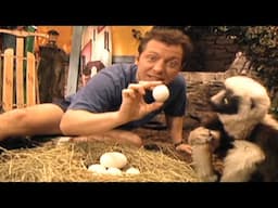 Zoboomafoo with the Kratt Brothers! EGGS | Full Episodes Compilation