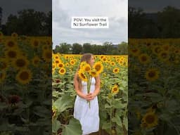 Sunflower Field Photo Ideas | Von Thun Farms in NJ 🌻