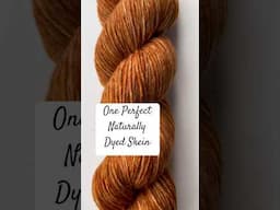 Let’s Create Naturally Dyed Yarn Using Mushrooms #naturaldye #mushroom #fungi #handdyedyarn  #diy