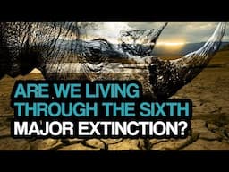 Are we living through the sixth major extinction?