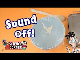 Sound Off: See Sound Vibrate with Salt!