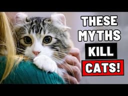 Want Your Cat to Live for More Than 20 Years? Then Stop Believing These 7 Myths That Kill Cats