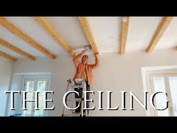 Ceiling plastering & Ape adventure