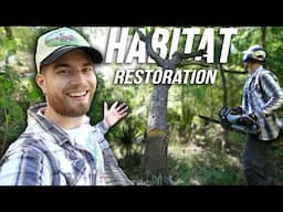 Restoring A Bottomland Forest!! Native Plant Gardening & Rewilding! Houston, Texas