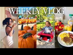 Weekly Vlog♡ Are you kidding me?! + Fall Fun + Toddler Protein Cookie Recipe + Mom Life + Vooglam?!