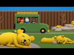 Lions at the Zoo | Miffy | Cartoons for kids