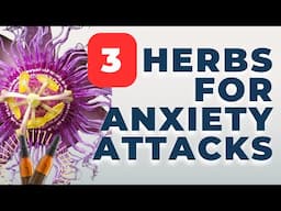 3 Herbs for Anxiety Attacks (feel normal again!!)