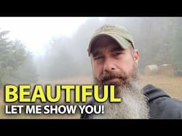 Let Me Show YOU Something Beautiful!