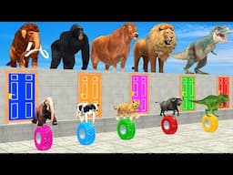 Cow Elephant Lion Gorilla Tiger T Rex Choose the RIGHT Door Animal ESCAPE ROOM CHALLENGE MYSTERY BOX