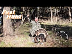 3 Minute Turkey Hunt